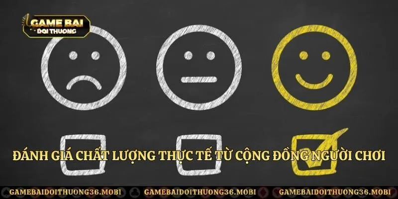 Đánh giá chất lượng thực tế từ cộng đồng người chơi kỳ cựu