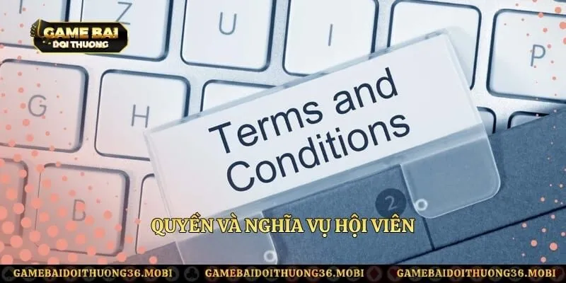 Quyền và nghĩa vụ hội viên