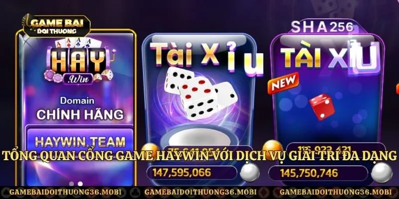 Tổng quan cổng game Haywin với dịch vụ giải trí đa dạng